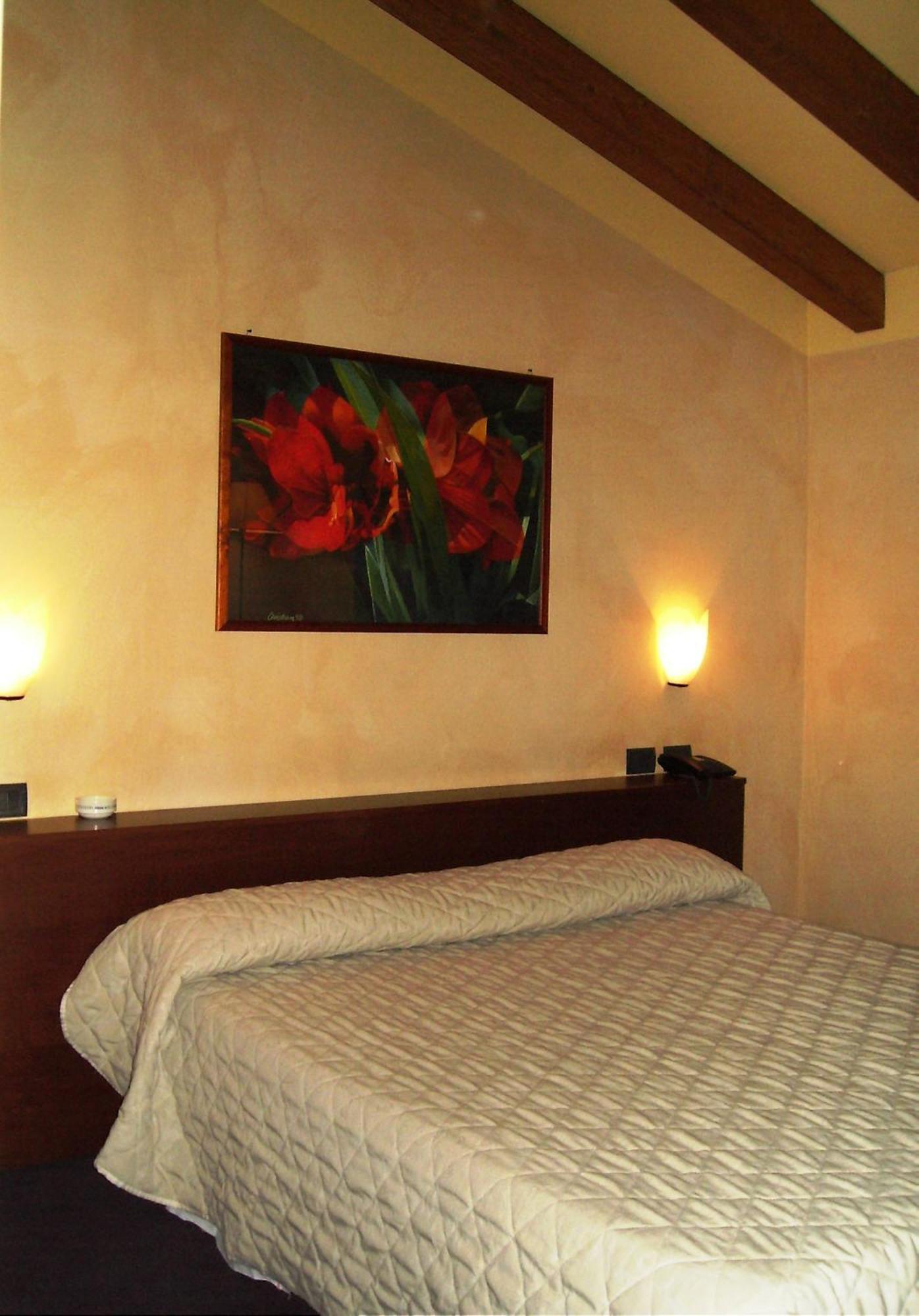 Hotel Parco Castelvetro Piacentino Δωμάτιο φωτογραφία